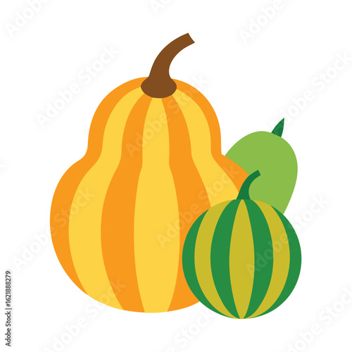 flat color vector of striped ornamental gourds