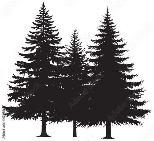 Three Fir tree silhouette element