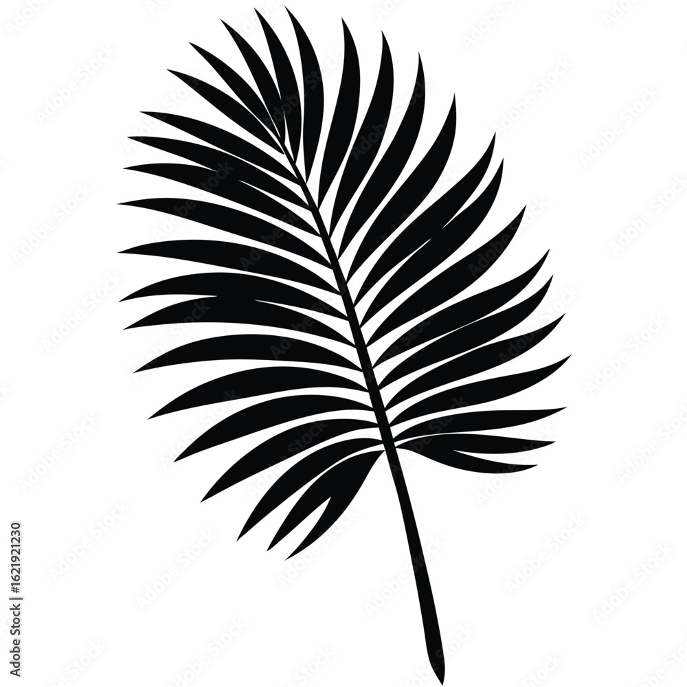 Fototapeta premium Black palm frond silhouette tropical leaf