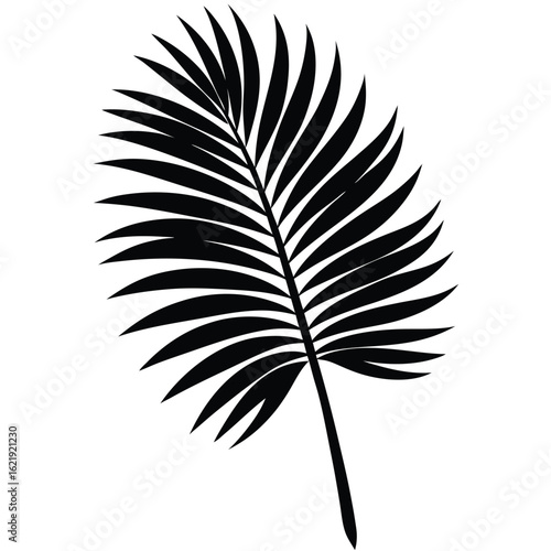 Black palm frond silhouette tropical leaf