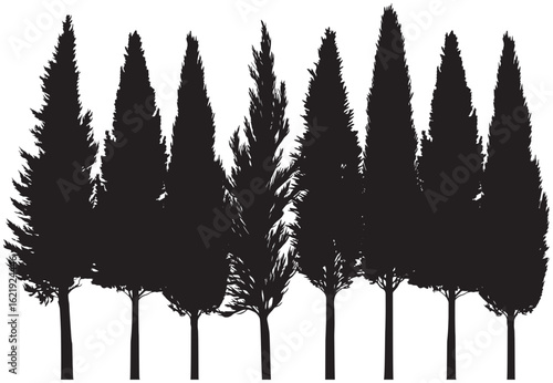 Cypress tree silhouette element