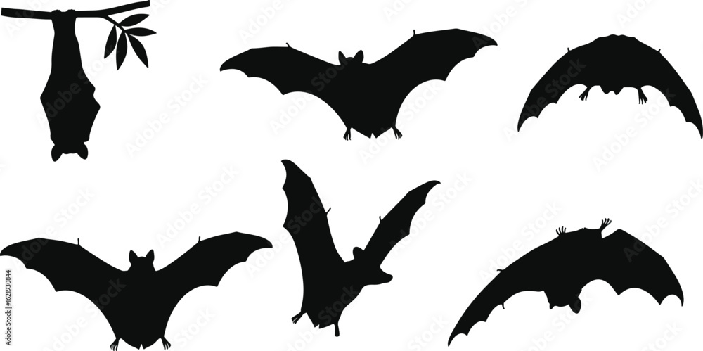Naklejka premium Bat silhouettes flying and hanging