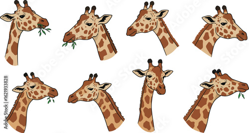 Cartoon giraffe heads pattern