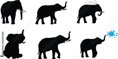 Elephant silhouettes in various poses