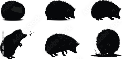Hedgehog silhouette illustrations