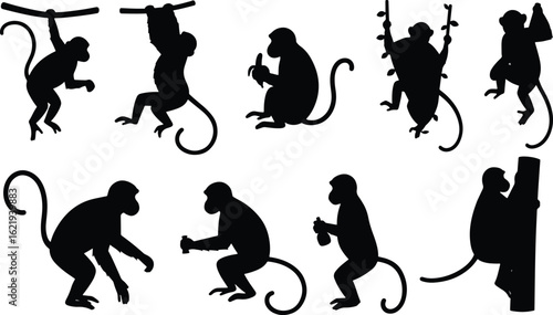 Monkey silhouettes various poses
