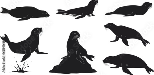 Sea lion silhouettes in various poses