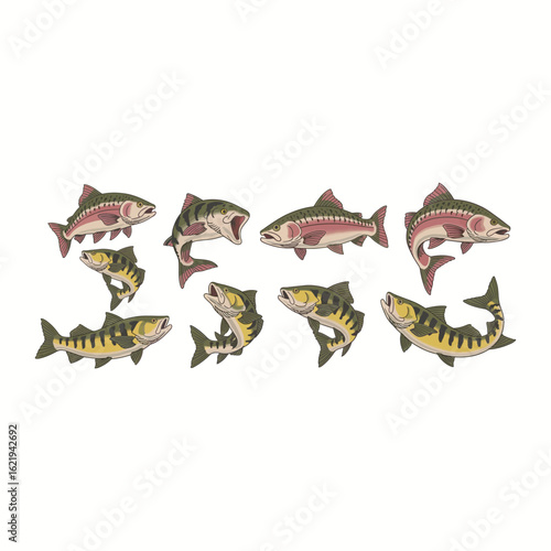 Collection of illustrated salmon and perch fish on white