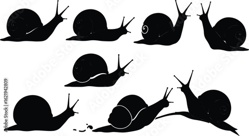 Snail silhouettes illustrations set