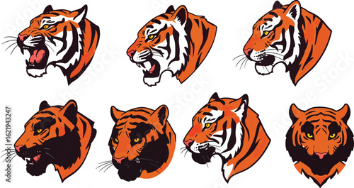 Tiger heads illustrations collection