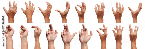 GROUP of Male Asian hand gestures isolated over the white background. Soft Grab Action. Touch Action.