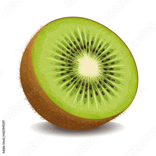 Kiwi Cut Half Vector PNG – Fresh Fruit Image with Transparent Background