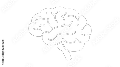 Brain Outline Vector Illustration. Human Intelligence Organ Isolated Design Concept