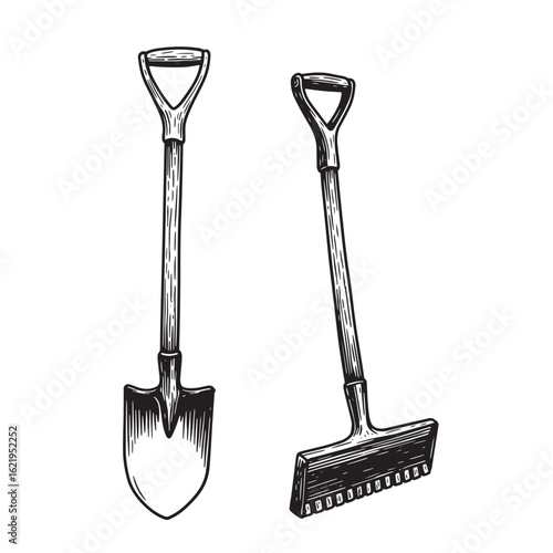 Hand drawn illustration of two garden tools shovels and a rake for landscaping and gardening