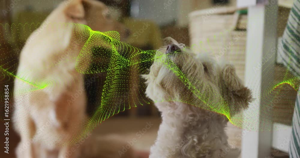 Neon green wave materializing, poodle mix sniffing pulsing pattern while retriever shifting gaze