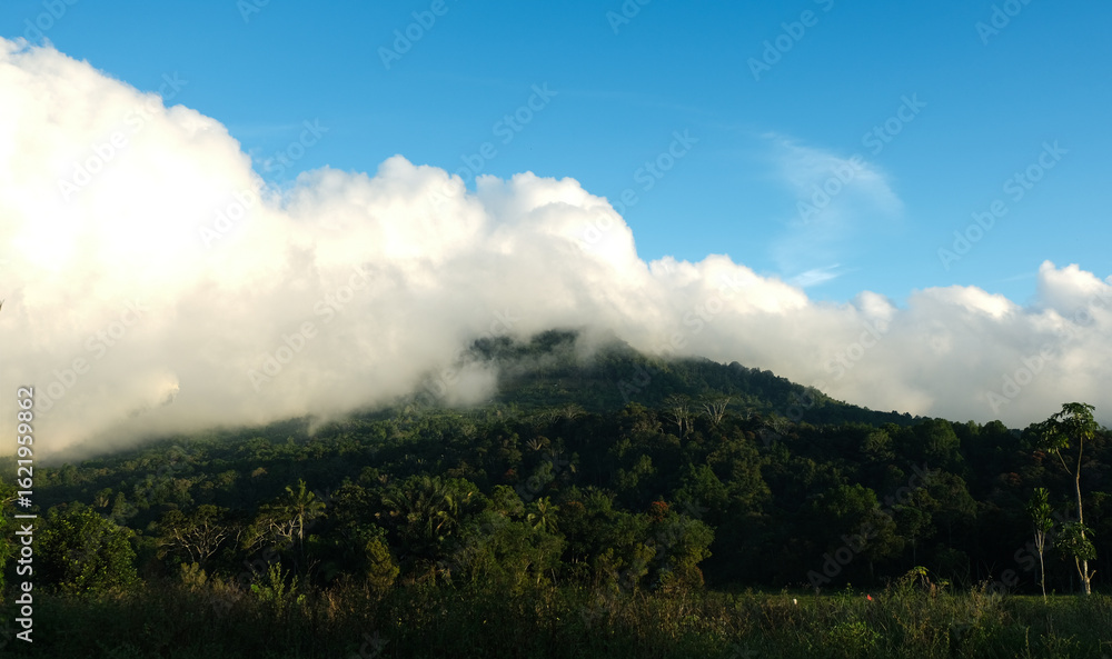 A breathtaking sunrise over a tranquil countryside landscape, with golden light illuminating the rolling hills and meadows A breathtaking sunrise over a tranquil countryside landscape, with golden light illuminating the rolling hills and meadows