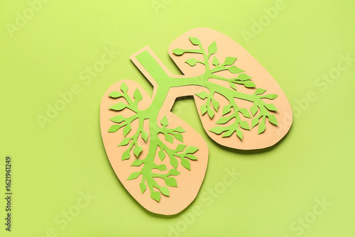 Paper cutout lungs with gre...