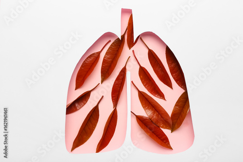 Paper cut out lungs with le...
