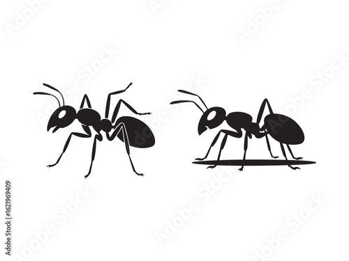 Simple black and white silhouette of two ants.