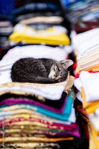 Cat sleeping on pile of clothes in Marrakesh medina