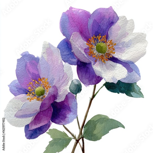 Wallpaper Mural Watercolor painting of two purple and white flowers with green leaves and stem Torontodigital.ca
