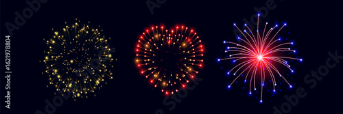 Vector Brightly Colorful Fireworks on the background of the night sky.
