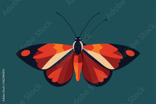 realistic butterfly species in full color  .eps