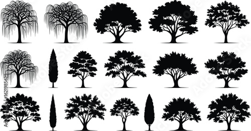 Collection of tree silhouettes, botanical vector set, various species and shapes, perfect for landscape design, illustration, eco projects, and decoration.