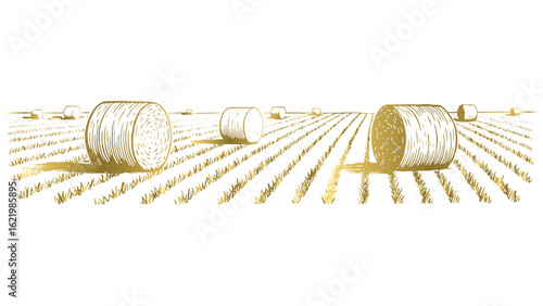 Golden Hay Bales in Field Vector Illustration Depicting Agriculture and Rural Scene