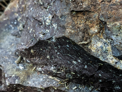 Close-up shot of a textured rock surface showcasing earthy tones of brown, red, and gray