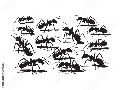 Group of ants silhouette vector isolated on white background.