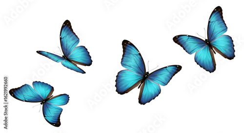 Four Vibrant Blue Morpho Butterflies in Flight, transparent background, Serene and Elegant Stock Image