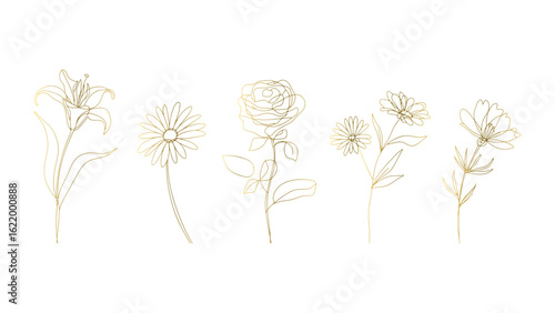 Golden Floral Outlines Set Elegant Flower Illustrations for Invitations and Decorations Design