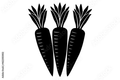 carrots vector illustration