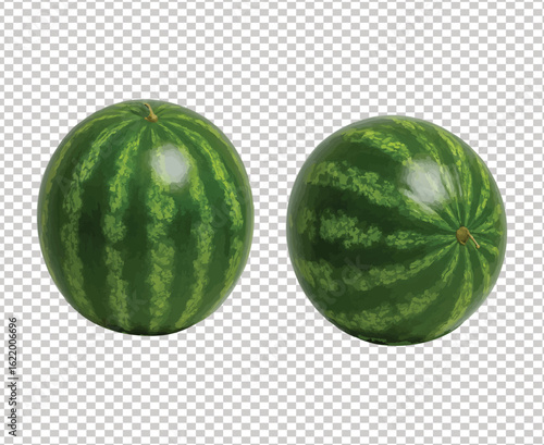 Two watermelons