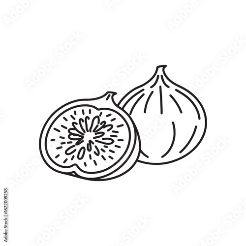 Fig Fruit line art flat vector illustration