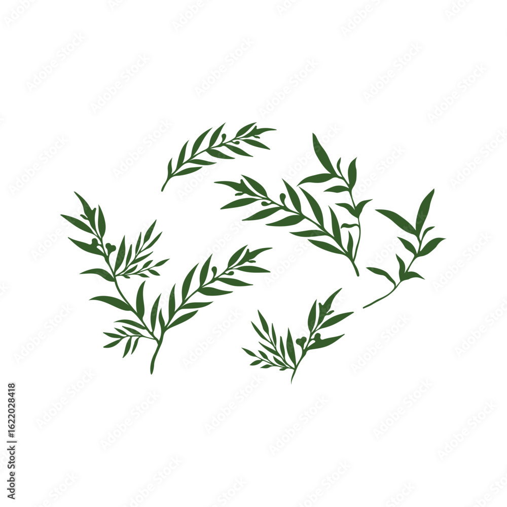 A collection of stylized green leaves and sprigs, arranged in a scattered pattern on a white background. A collection of stylized green leaves and sprigs, arranged in a scattered pattern on a white background.