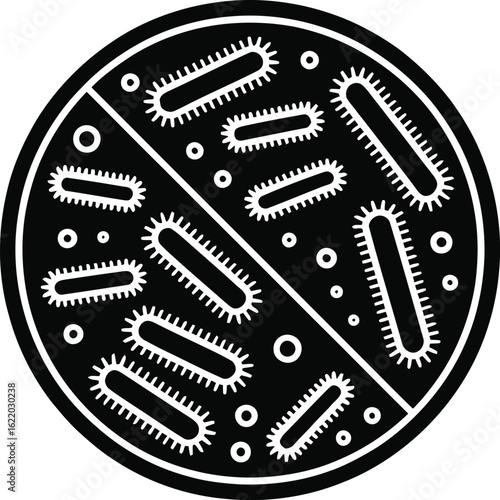 Microscopic view of bacteria culture in a petri dish divided into two sections