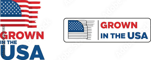 Grown in usa american flag logo vector illustration design
