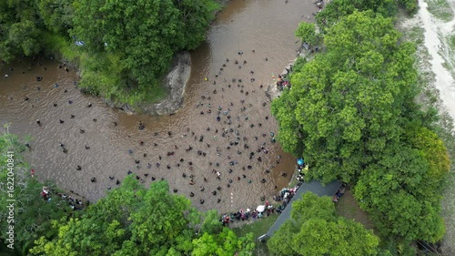 Traditional fishing by the Dayak tribe in East Barito, Central Kalimantan using a long spear called Tariuk