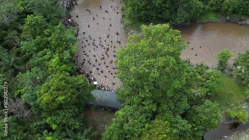 Traditional fishing by the Dayak tribe in East Barito, Central Kalimantan using a long spear called Tariuk