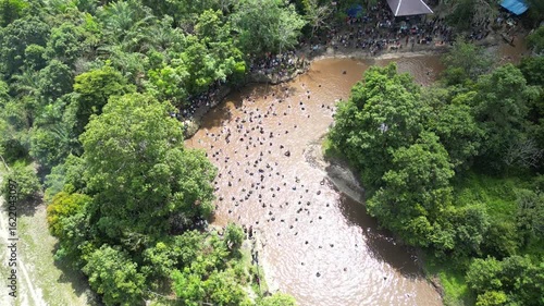 Traditional fishing by the Dayak tribe in East Barito, Central Kalimantan using a long spear called Tariuk