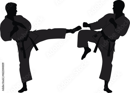 Dynamic martial artists demonstrating powerful kicks in synchronized combat training