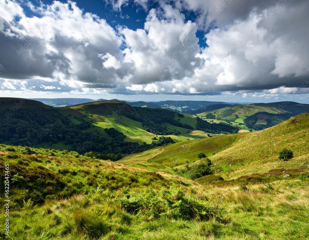 Obraz premium Green mountains stretch under a blue summer sky with puffy white clouds