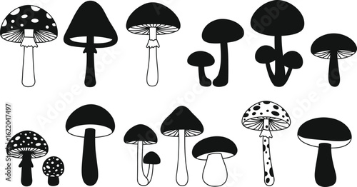 Mushroom silhouette vector collection, hand-drawn fungi icons, wild mushrooms clipart, black and white toadstools for nature and forest design