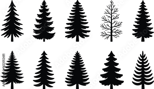 Evergreen trees collection pine trees fir trees