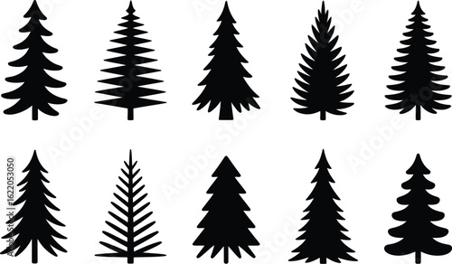 Diverse evergreen tree silhouettes evergreen trees