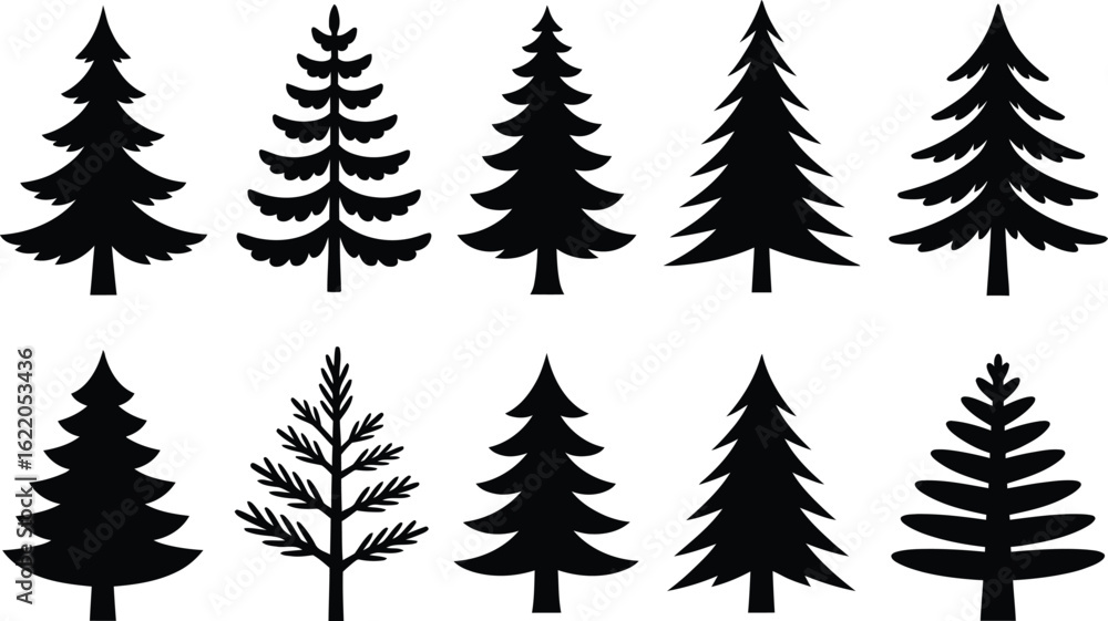 Fototapeta premium Evergreen trees forest collection pine trees fir trees