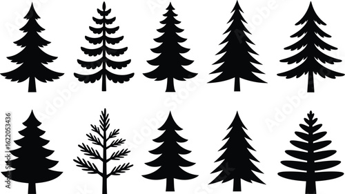 Evergreen trees forest collection pine trees fir trees