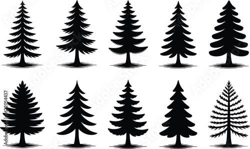 Evergreen trees silhouettes coniferous trees pine trees